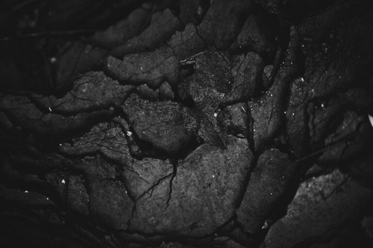 Equipo de empresa de consultoría tecnológica reunido